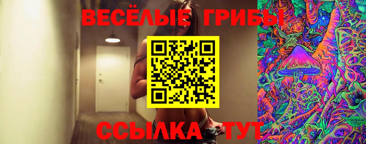 Псилоцибиновые грибы мицелий  Вход с VPN  Каменск-Уральский 